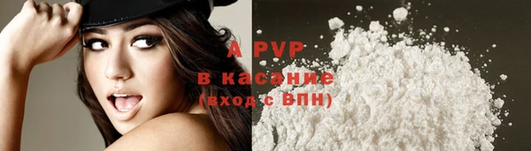 прущие грибы Абинск