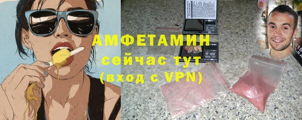 прущие грибы Абинск