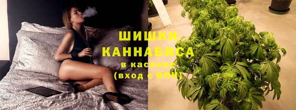 прущие грибы Абинск