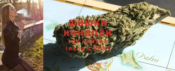 прущие грибы Абинск