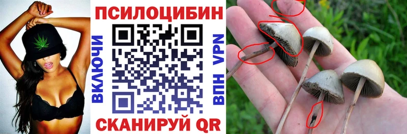 Псилоцибиновые грибы GOLDEN TEACHER  Карасук 